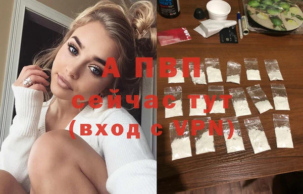 таблы Новозыбков