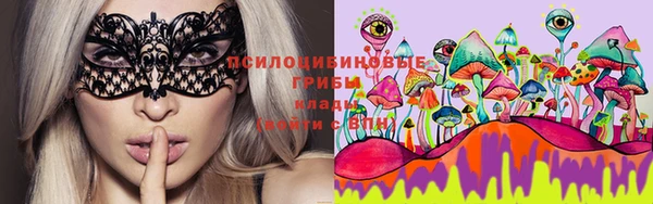 таблы Новозыбков